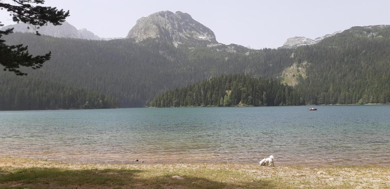 Durmitorski Konak Žabljak Esterno foto