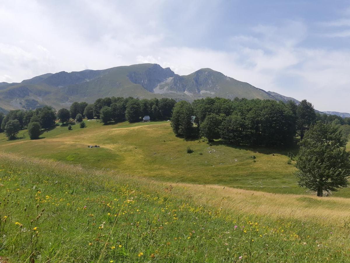 Durmitorski Konak Žabljak Esterno foto