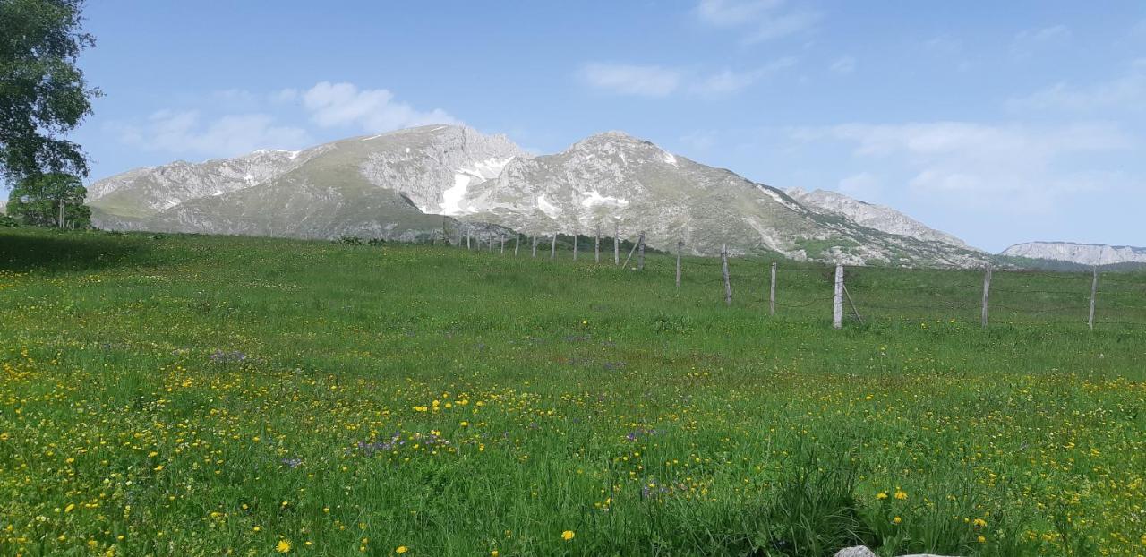 Durmitorski Konak Žabljak Esterno foto